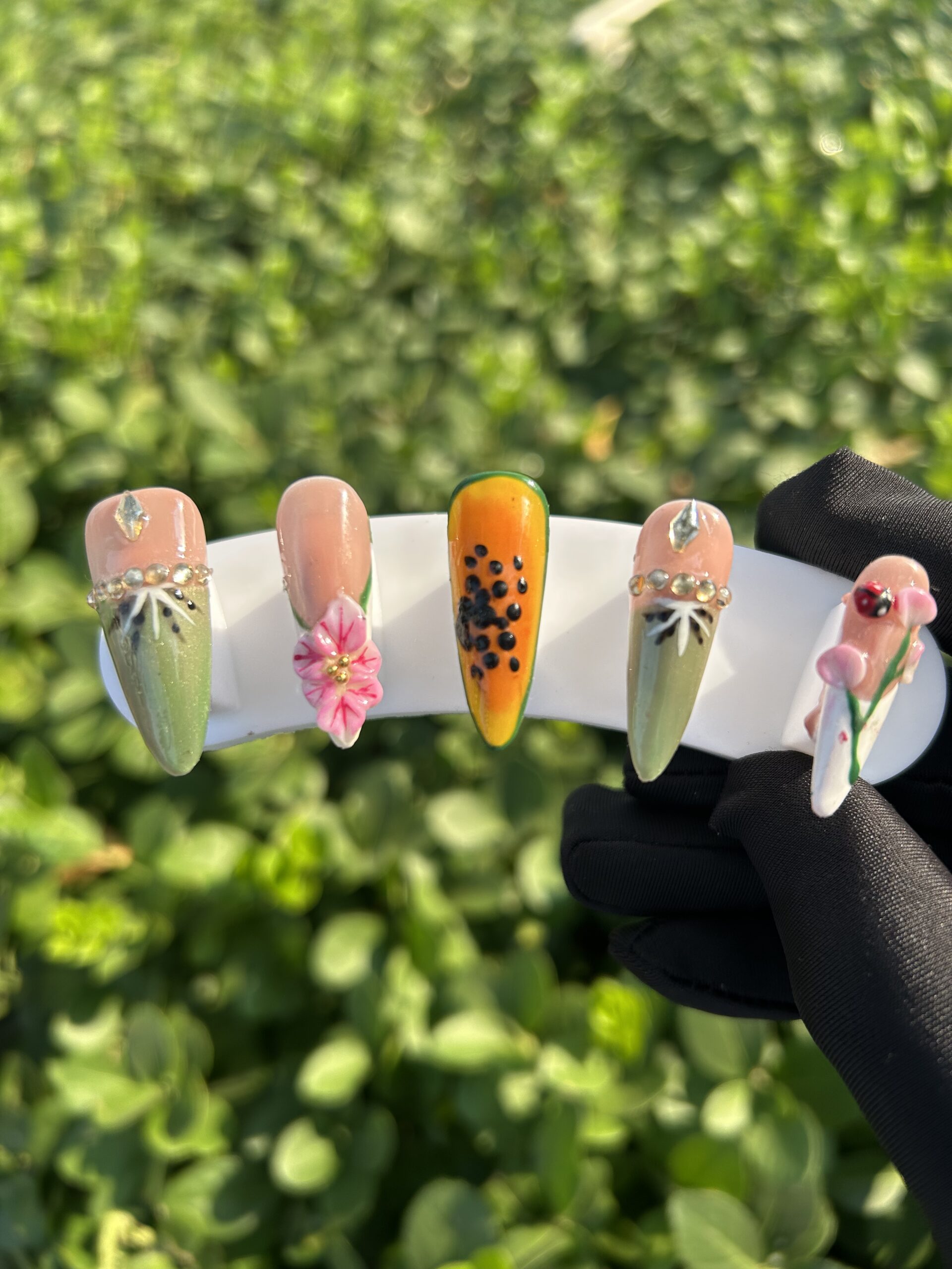 48 Fresh Fruit Garden — image 1