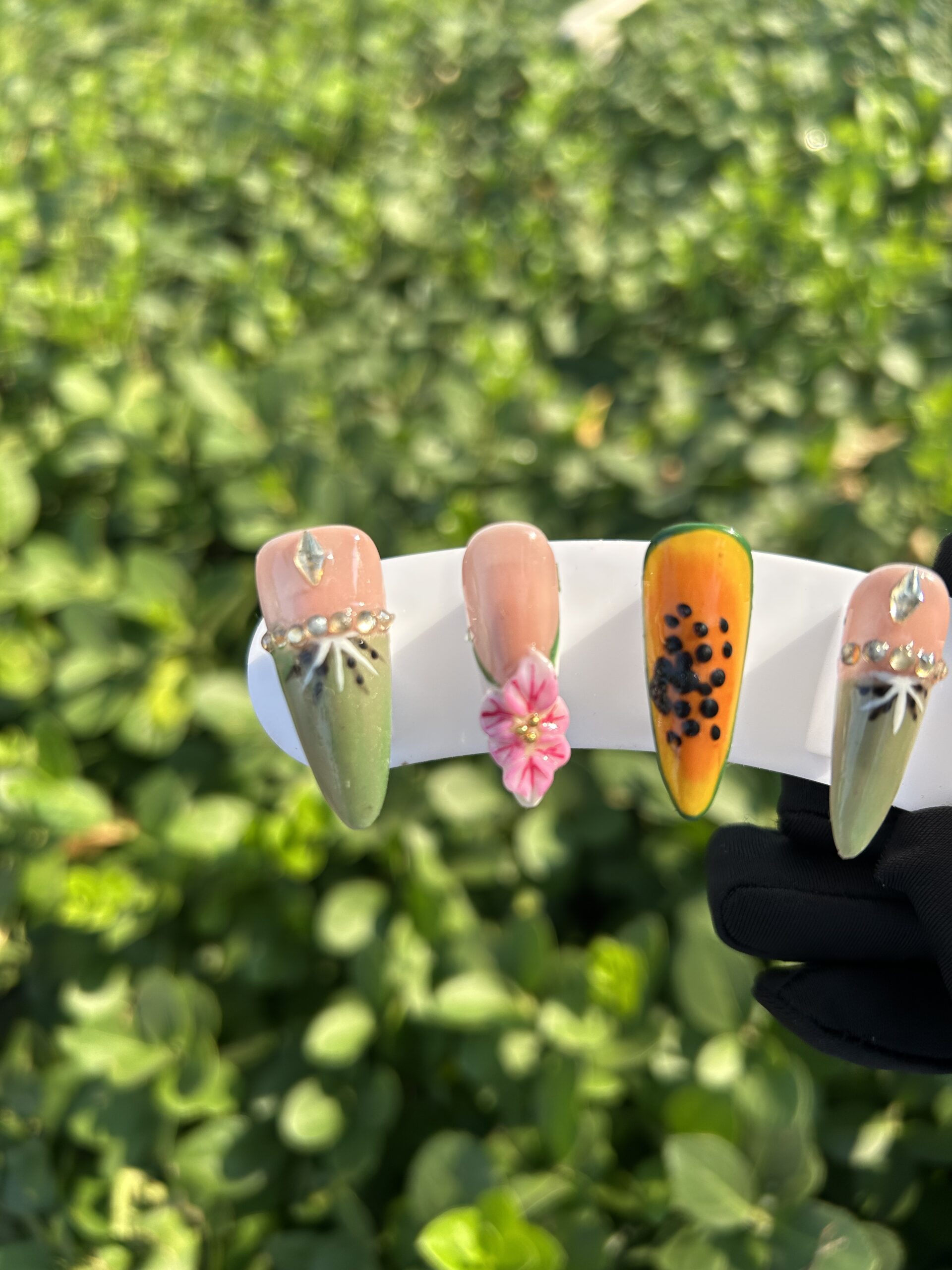 48 Fresh Fruit Garden — image 2
