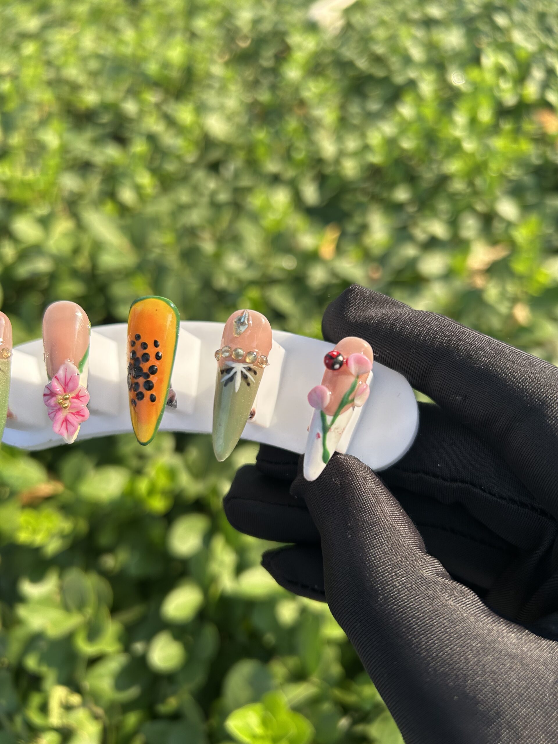 48 Fresh Fruit Garden — image 3