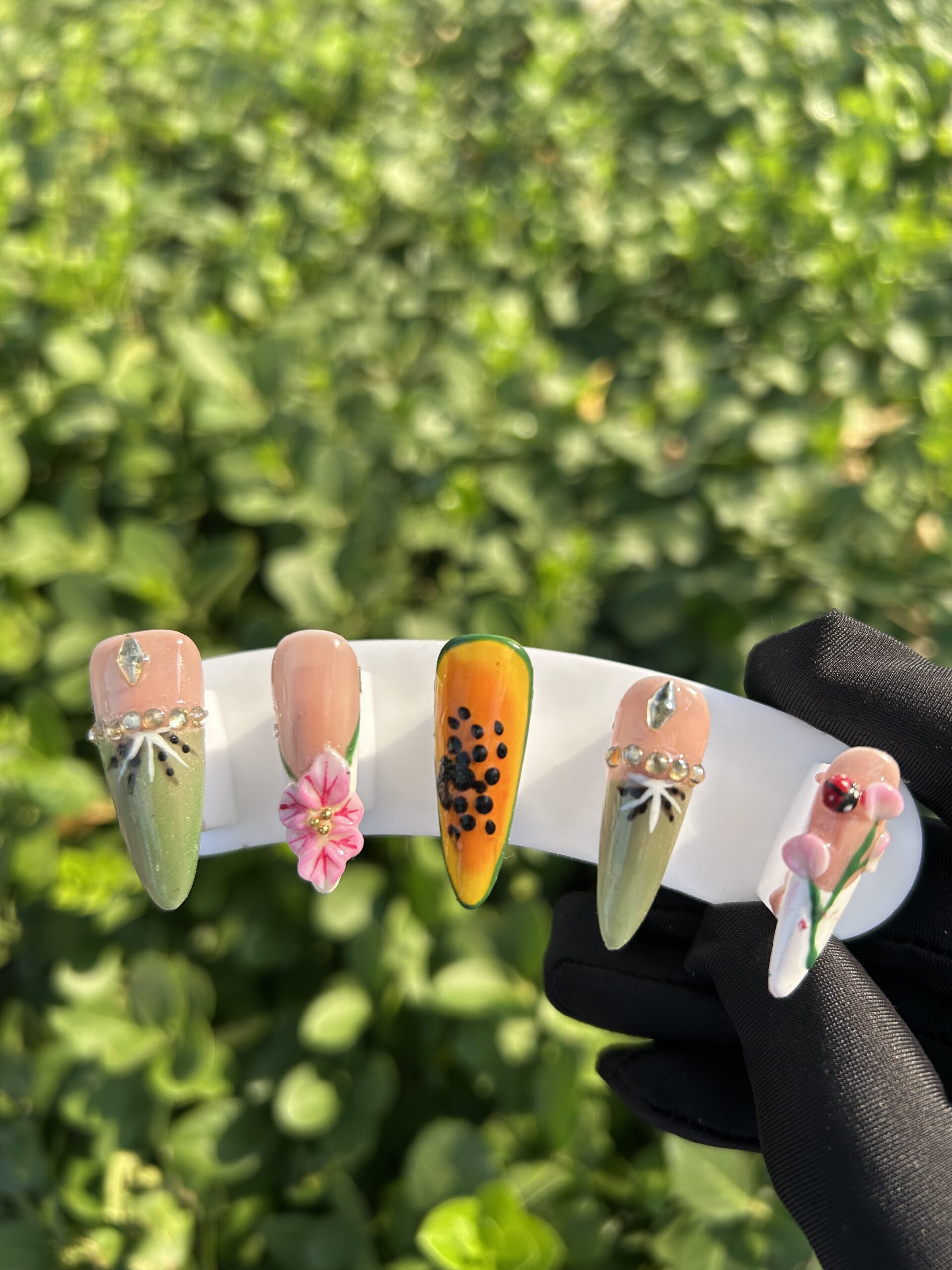48 Fresh Fruit Garden — image 4